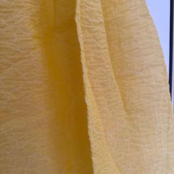 Zara Studio Sheer Jacquard Skirt - Picture 3 of 3